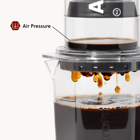 AeroPress Clear XL coffee maker